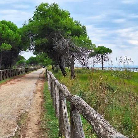 Luminous In Lido Dei Pini Apartmán